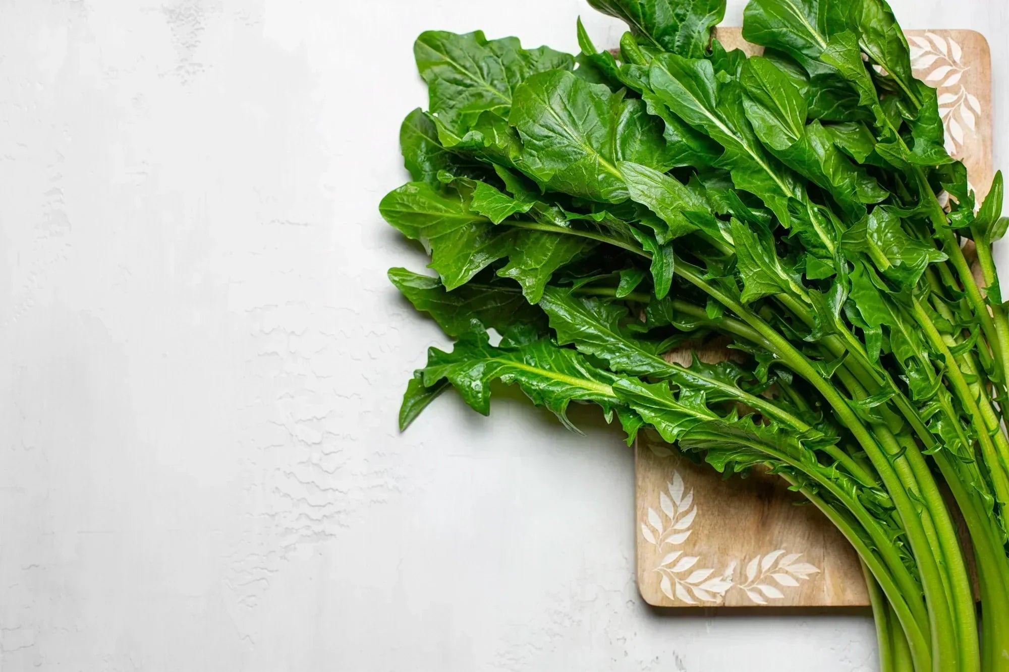 How to Plant, Grow, and Harvest Chicory from Seed: Your Complete Growing  Chicory Guide from Bloom Ranch of Acton for Fresh, Flavorful Greens and  Roots