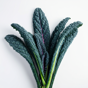 Kale - Black Magic - Mature - Pound