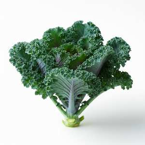 Kale - Blue Curled Scotch - Mature - Pound