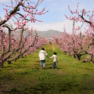 walking tours bloom ranch