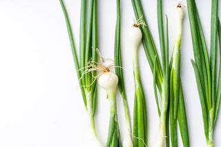 An image of freshly harvested evergreen bunching onions with long green tops and white roots – growing guide by Bloom Ranch of Acton.