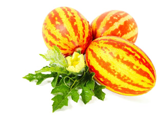 Image of vibrant Tigger melons with bold orange and yellow stripes, featured in Bloom Ranch of Acton's guide to Japanese tiger melon plants and seeds.