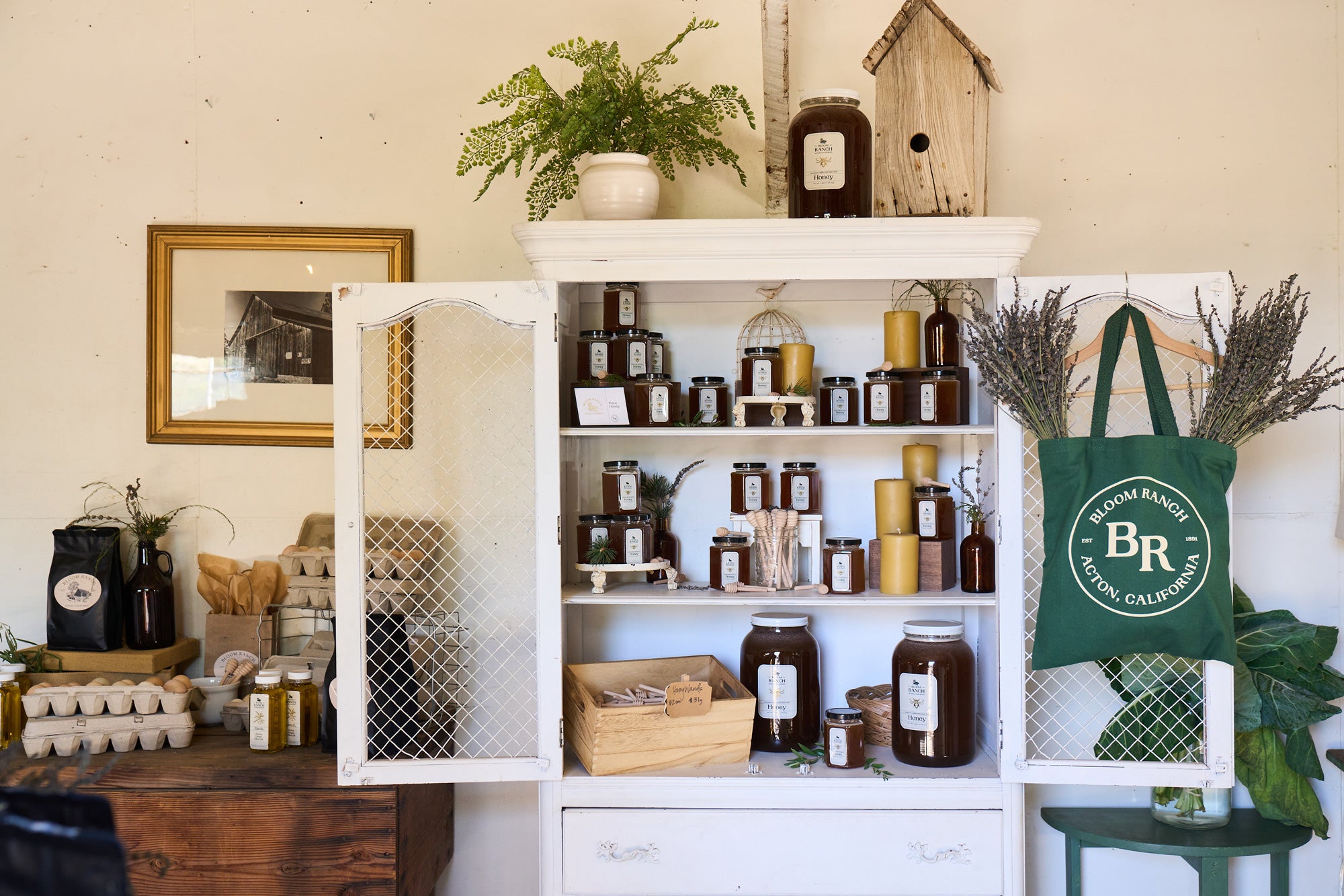 Bloom Pantry β Bloom Ranch