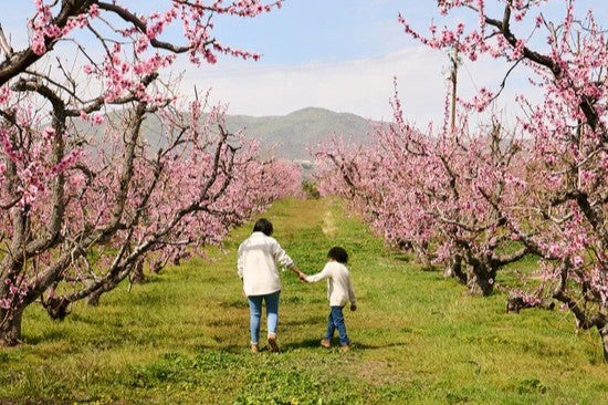 Bloom Ranch Walking Tour: A Journey on Foot Through Sustainable Growin