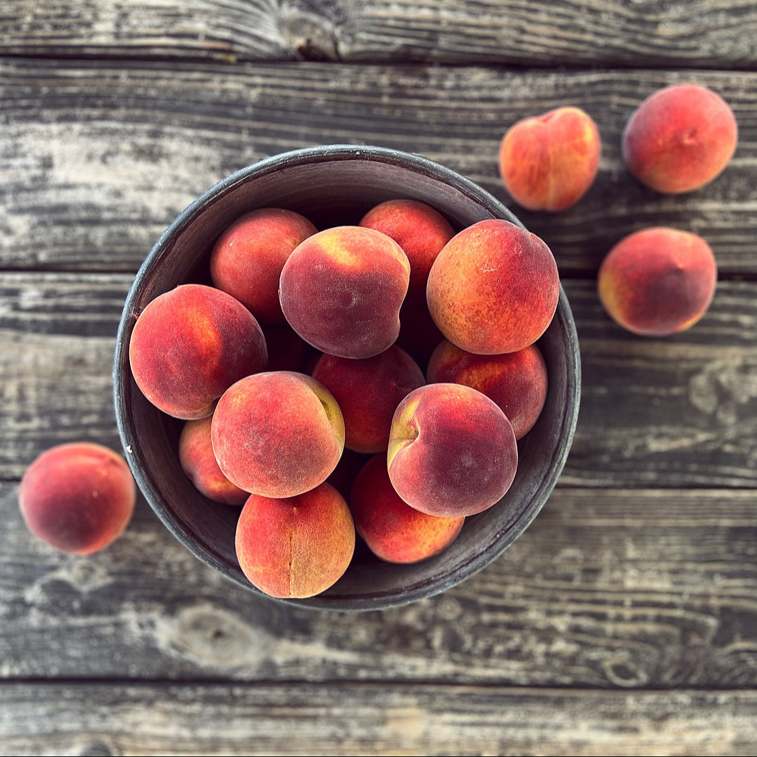 Bloom Ranch of Acton