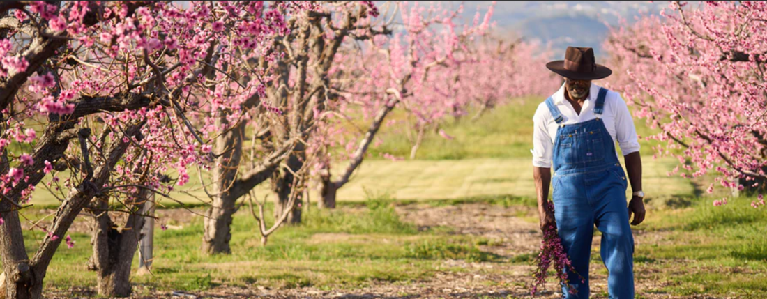About – Bloom Ranch