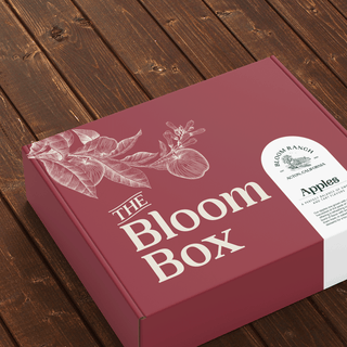 Bloom’s Apple Box