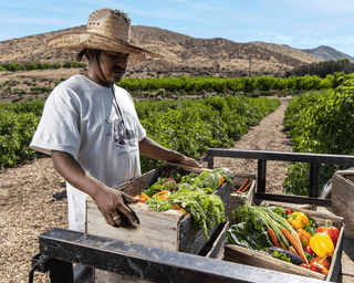 bloom ranch produce