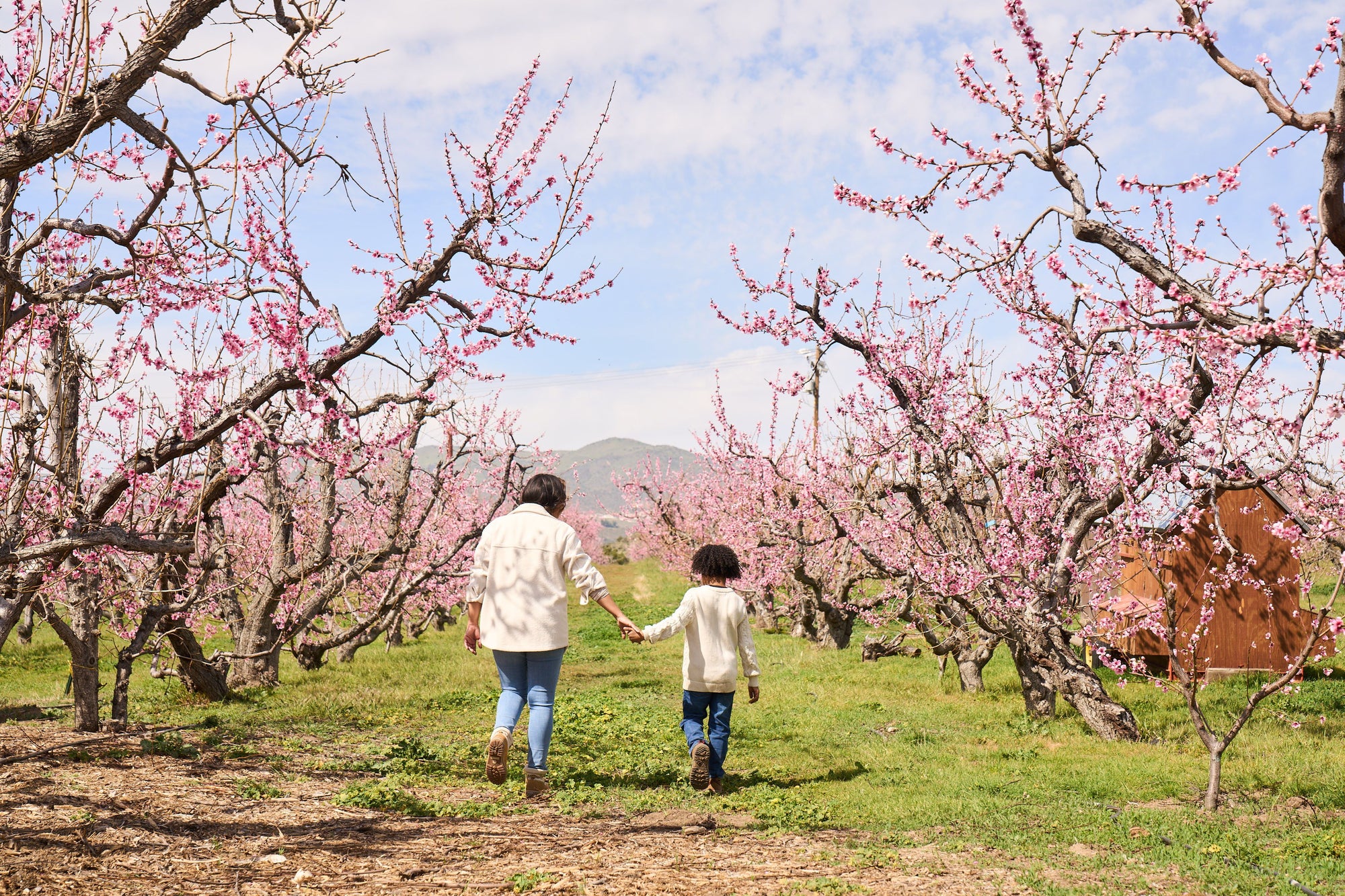You Pick β Bloom Ranch