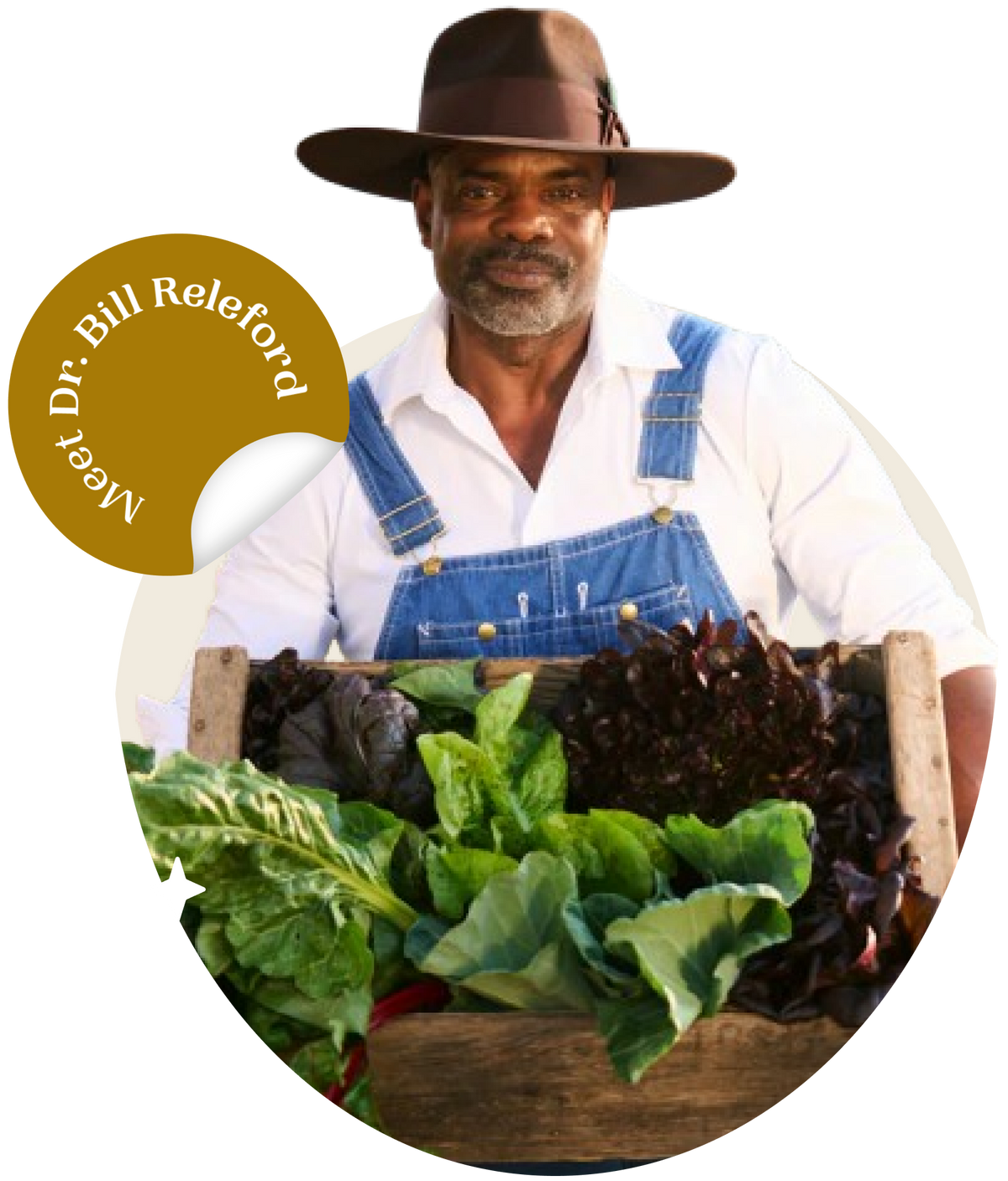 About – Bloom Ranch