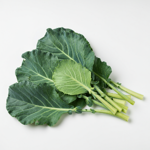 Collard Greens - Flash - Mature - plant