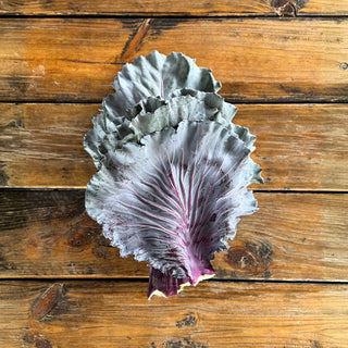 Red Acre Cabbage