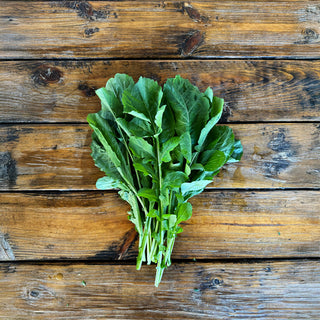 Arugula - Bloom Ranch