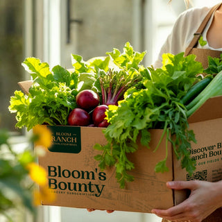 blooms-bounty-box-bloom-ranch