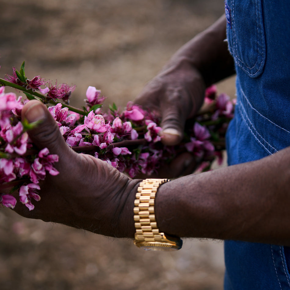 About β Bloom Ranch