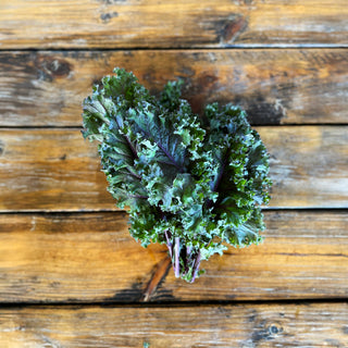 Blue Curled Vates Kale