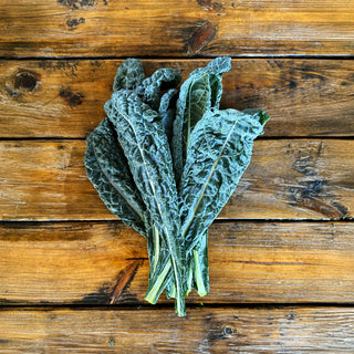 Dino Kale - Bloom Ranch