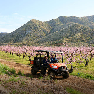 Bloom Ranch Driving Tour: Experience the Panoramic Beauty of California's Largest Black-Owned Ranch