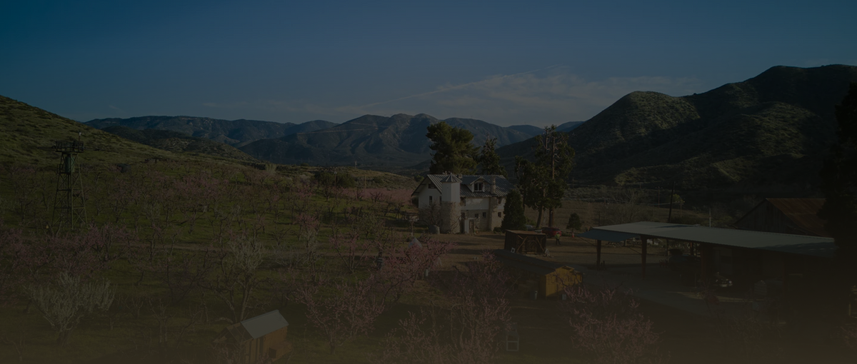 Contact – Bloom Ranch