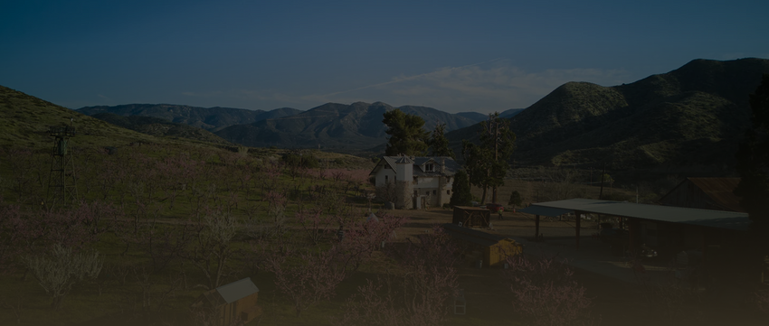 Contact – Bloom Ranch