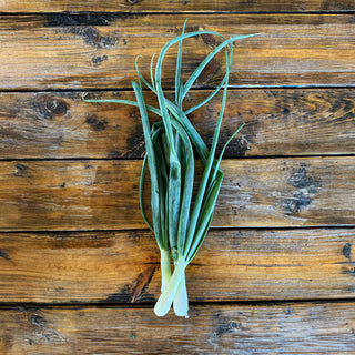 onions - Bloom Ranch
