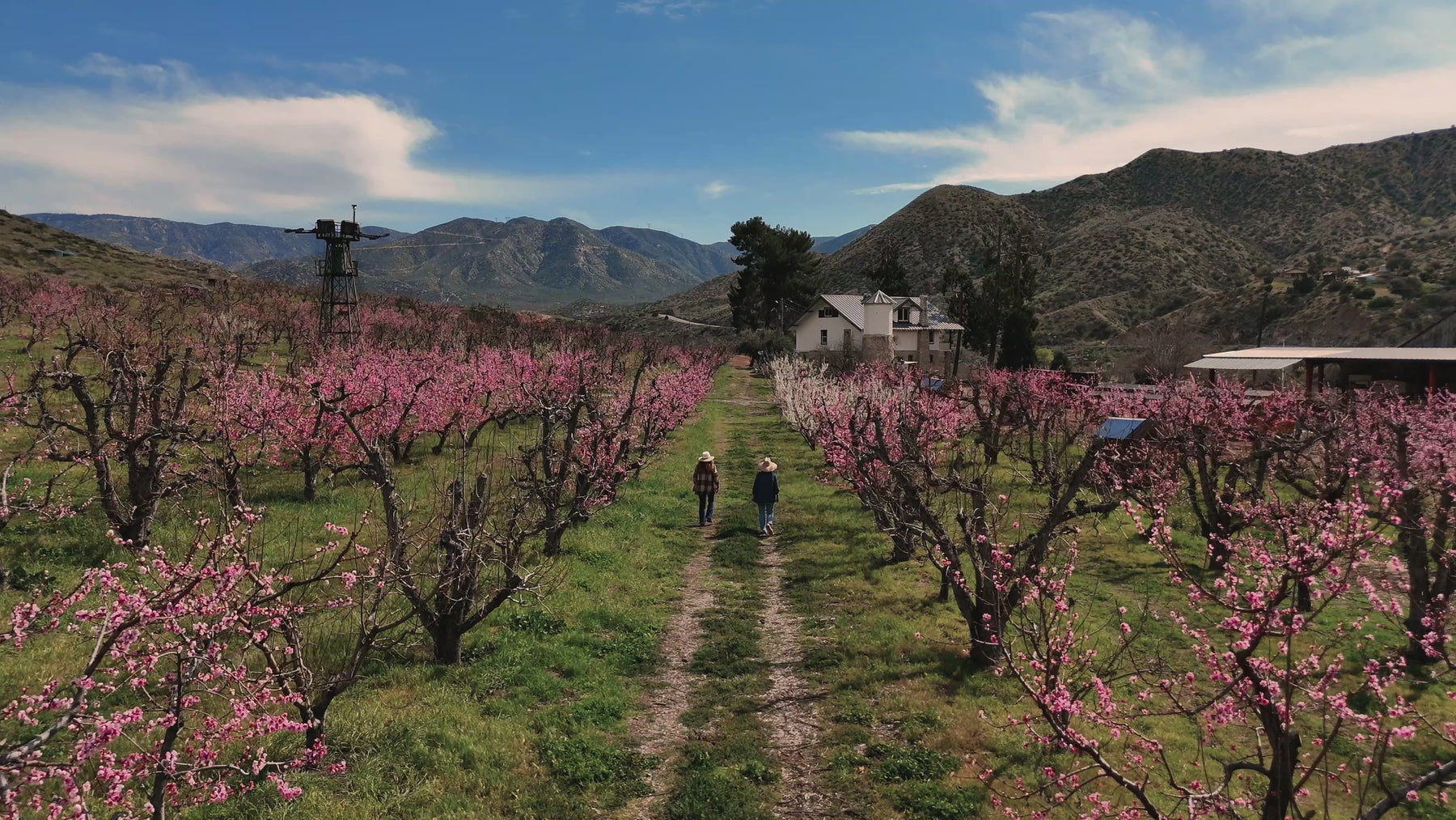 Bloom Ranch of Acton