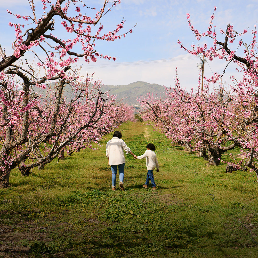 Experiences: Tours – Bloom Ranch